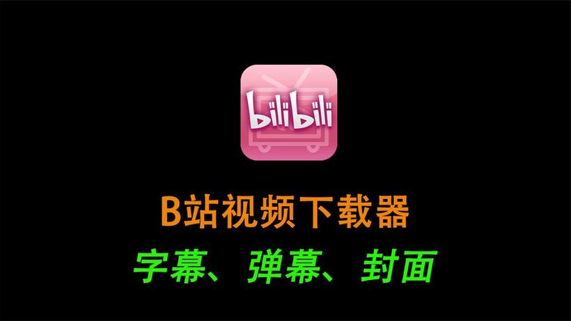 b站下载的视频