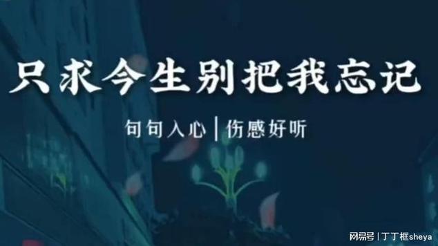 网络最红最伤感的歌曲