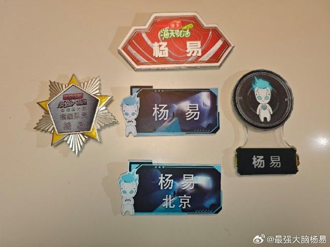 最强大脑衣服有几个洞缩略图