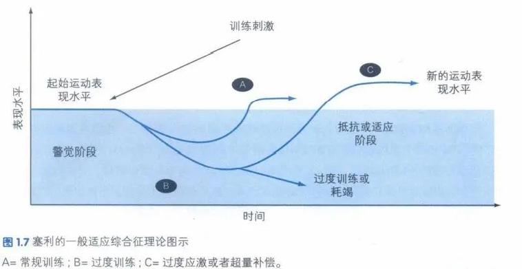 健身后恢复得特别慢是为什么