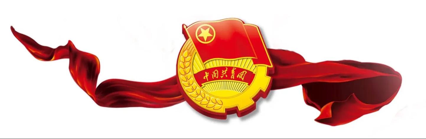 共青团员名单查询