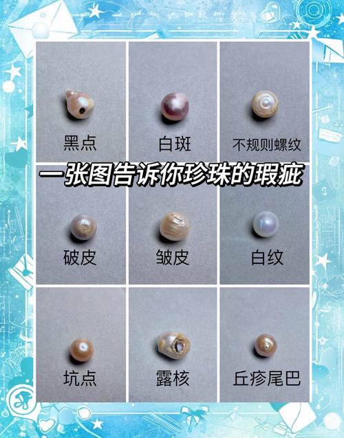 蛋蛋赞最新版本pc端游戏截图