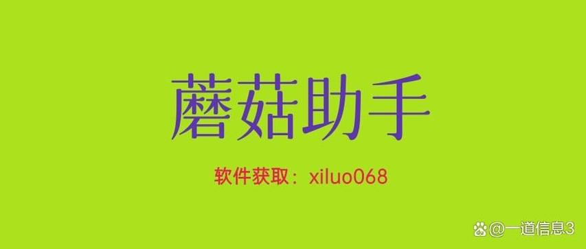蘑菇助手全网第一低价业务平台
