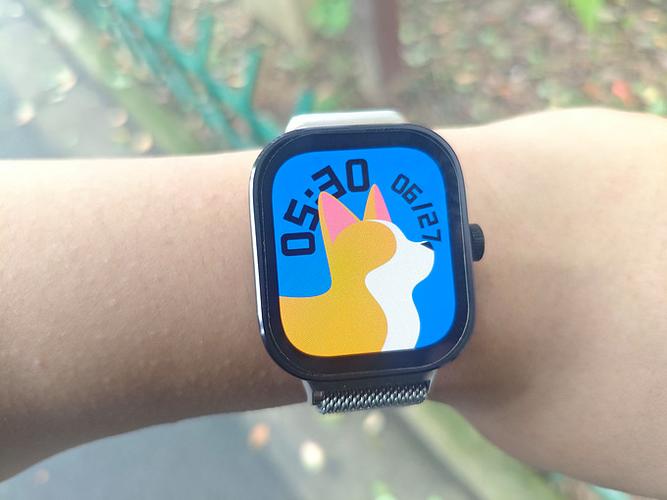 红米watch4心率准吗缩略图