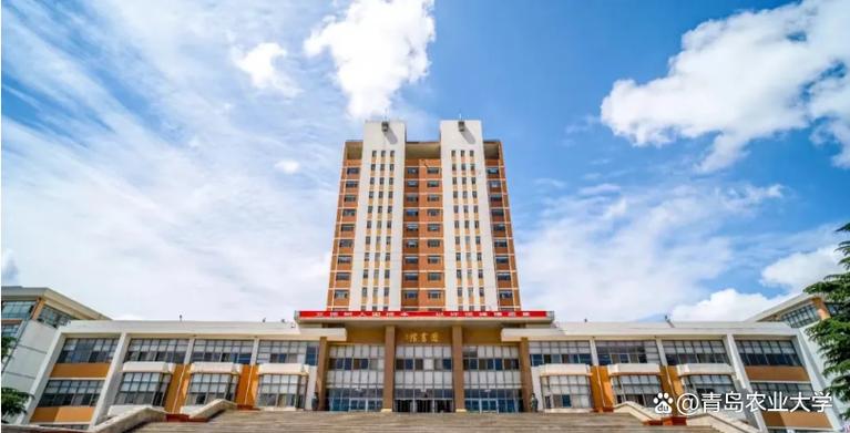 青岛农业大学智慧校园