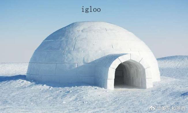 igloo的意思