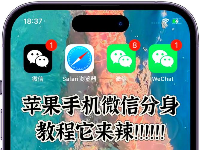 苹果可以应用分身吗