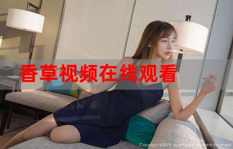 掌中视频在线观看