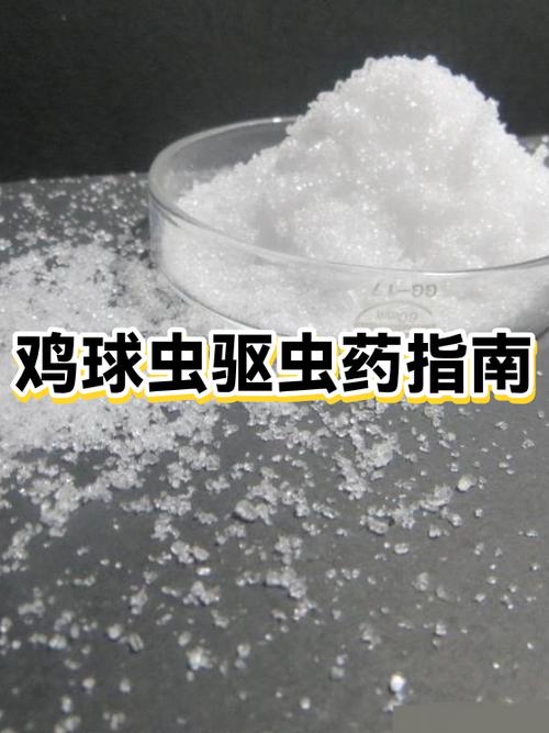 如何杀灭环境中球虫