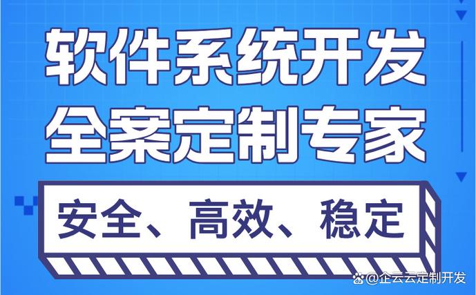 软件开发定制