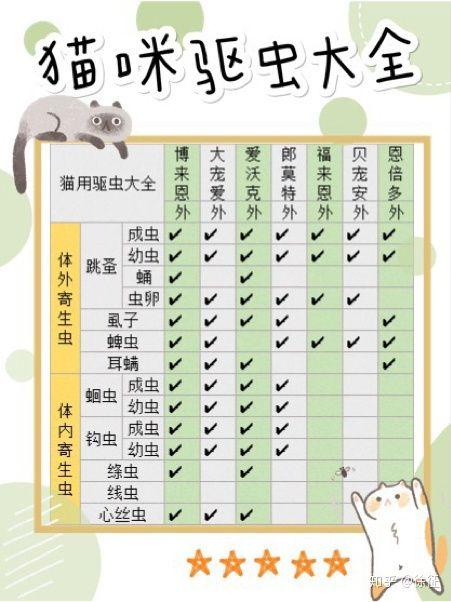 猫最怕什么东西驱赶猫