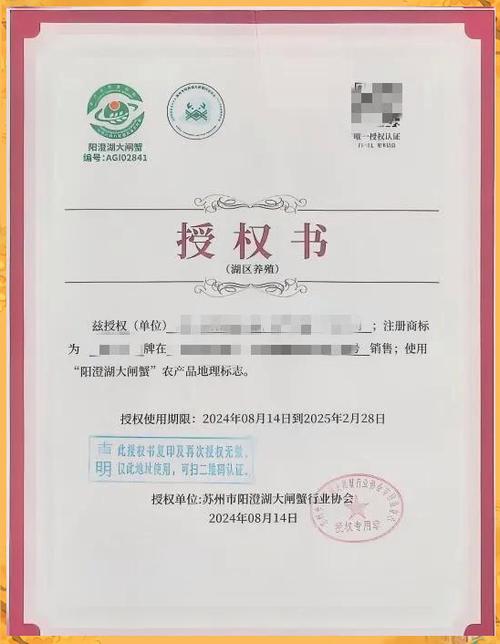 授权书有什么风险