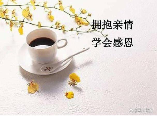 不想跟家人亲近什么原因