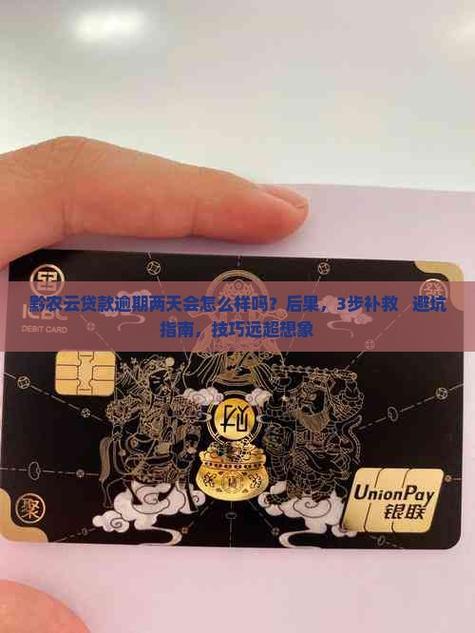 黔农云到期了可以办延期吗