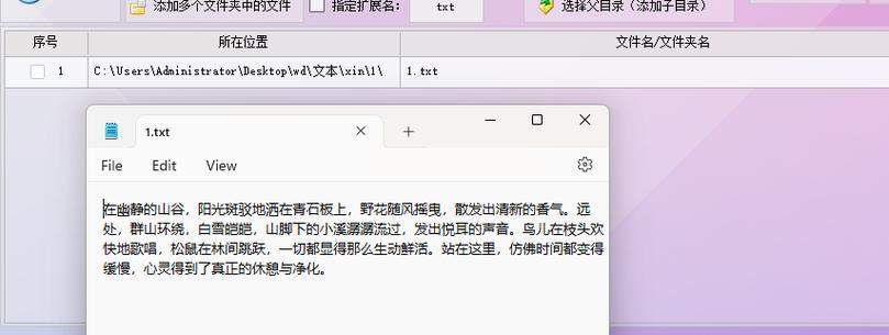 TXT文本编辑器