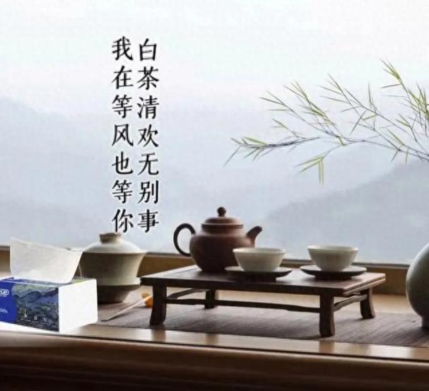 我等清风也等你 出处