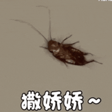 蟑螂GIF