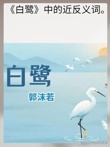 白鹭古诗拼音版