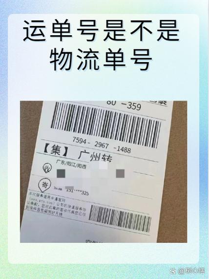 运单号和快递单号的区别