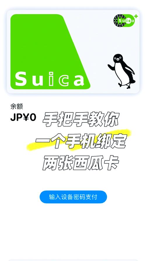 西瓜视频怎么绑卡