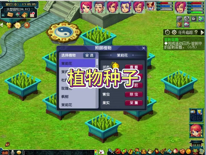 梦幻西游怎么种植物