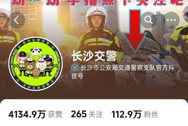 长沙公安交警网截图
