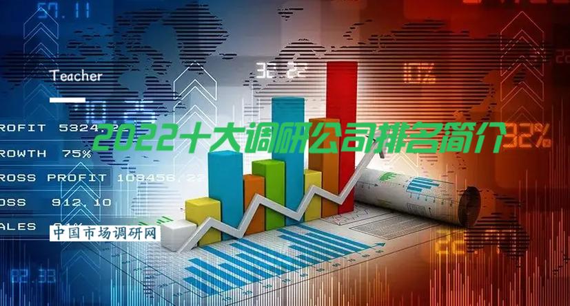 中国十大市场调研公司缩略图