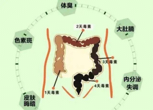 肠道清理宿便最好方法