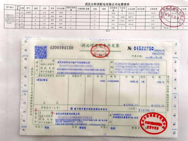 国家电网电费发票可以网上打印吗