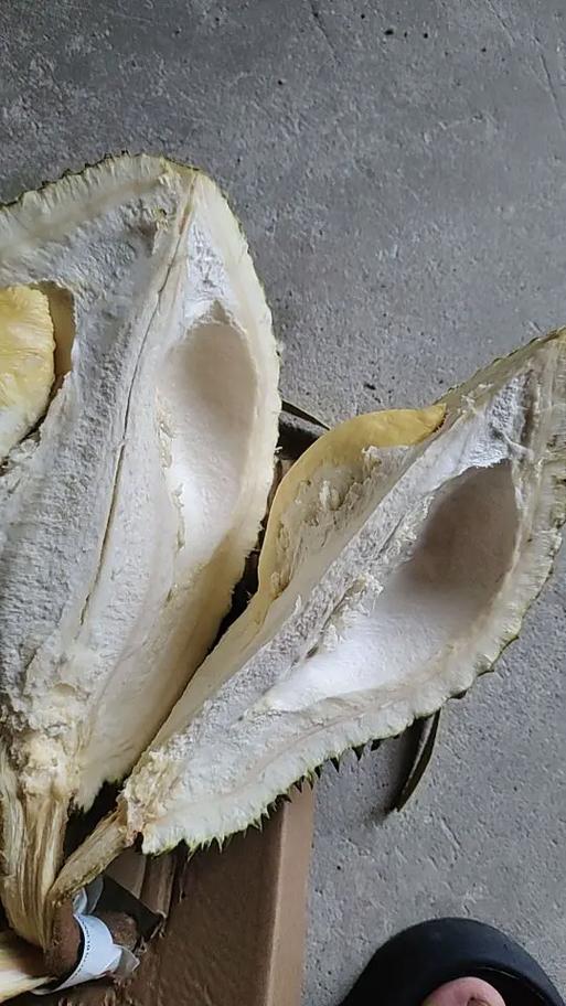 6斤榴莲一般开几斤肉