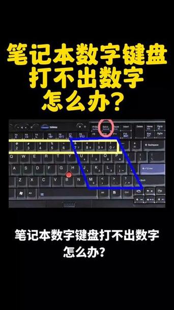 小米笔记本数字键怎么解锁