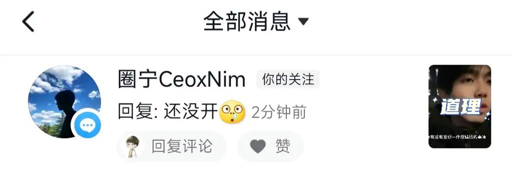 nim是什么意思