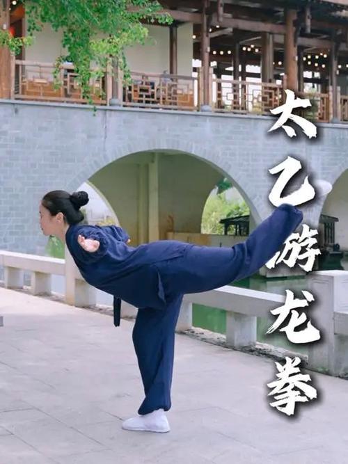 龙拳1-60式分解动作