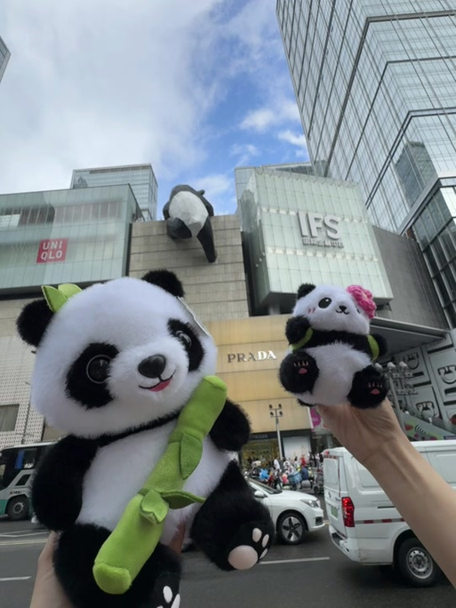 熊猫团购