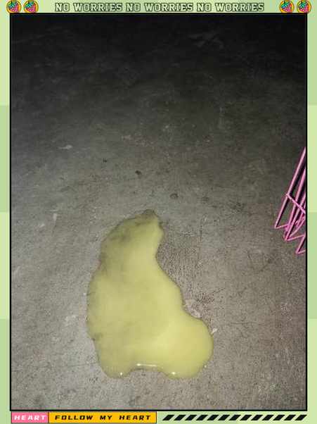 正常的兔子尿是什么样子