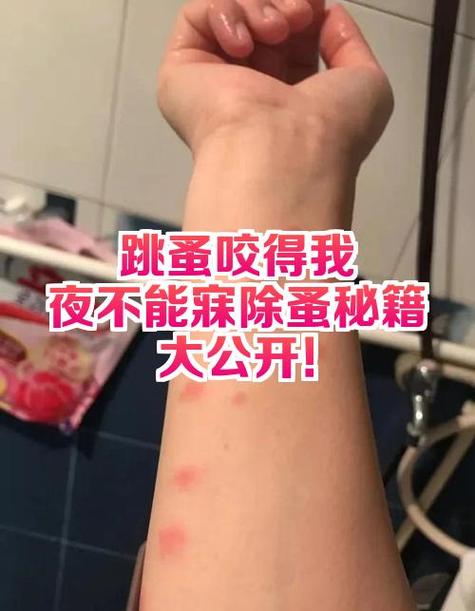 跳蚤市场一般卖什么