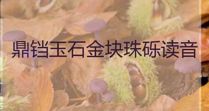 鼎铛玉石词类活用用法
