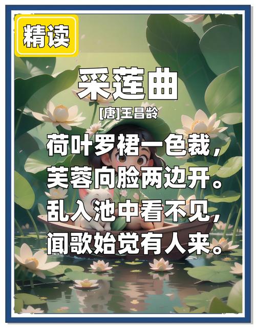 莲花梦迟讲的是什么