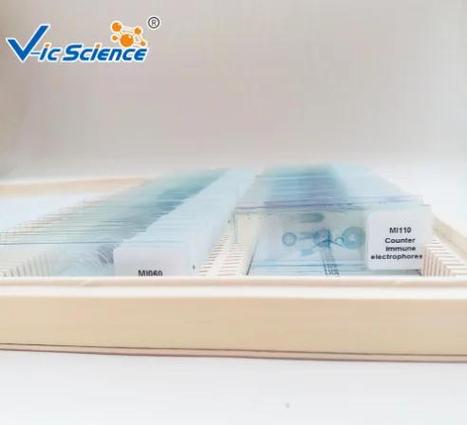 生物标本制作方法图片