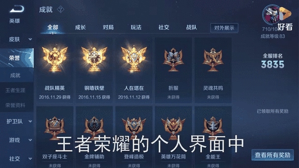 王者荣耀怎么看成就等级截图