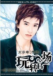 玩转官场贵妇作者大示申
