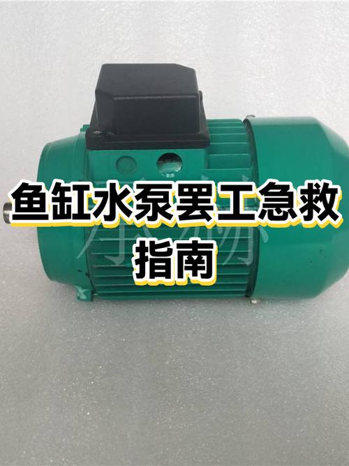 鱼缸潜水泵不上水什么原因