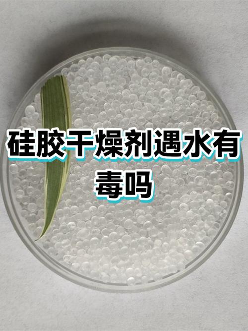 手机进水用干燥剂需要多久