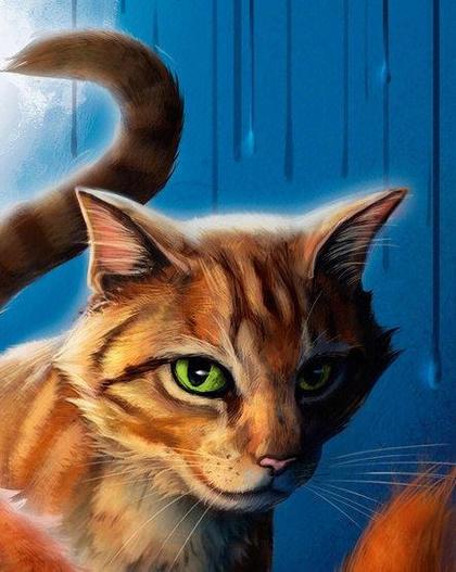 猫武士角色