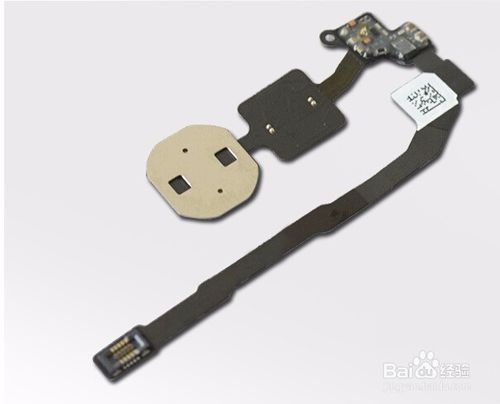 苹果指纹排线断了能修吗缩略图