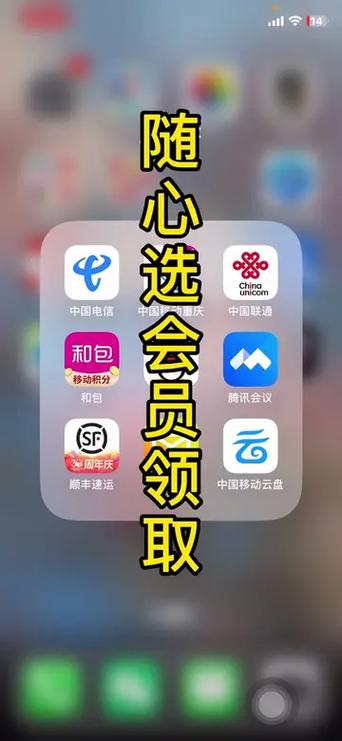随心选会员每个月什么时候领