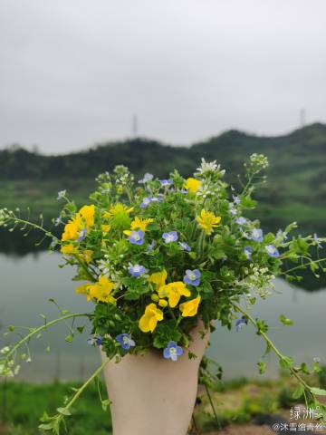 青丝app是什么