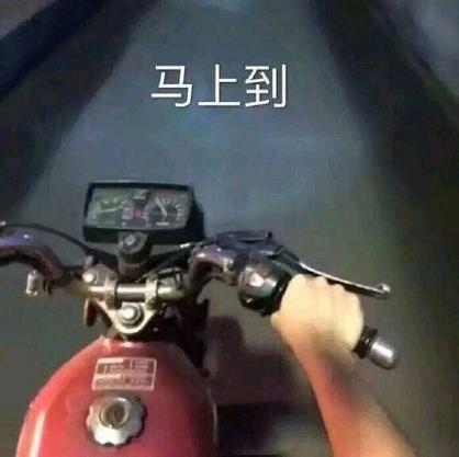 开猫托车表情包