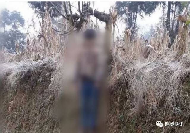 吊死人的地方有邪气吗