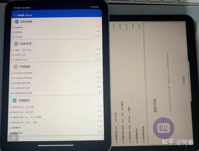 ipad蜂窝数据怎么开